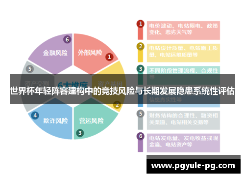世界杯年轻阵容建构中的竞技风险与长期发展隐患系统性评估